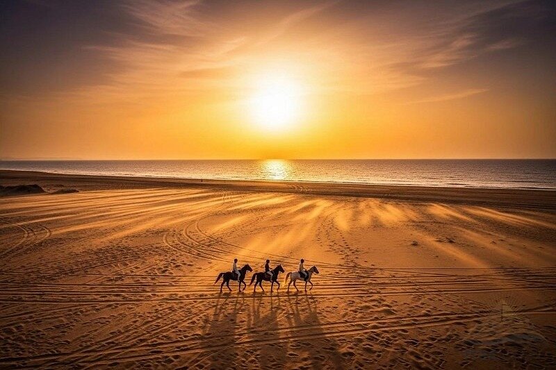 Horse Riding in Hurghada