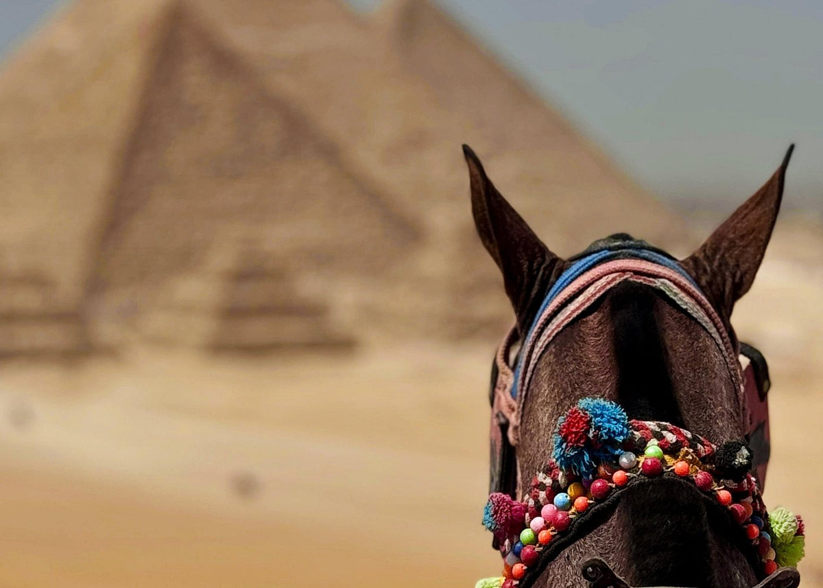 Cairo Day Trip from Hurghada