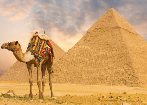 Cairo Day Trip from Hurghada