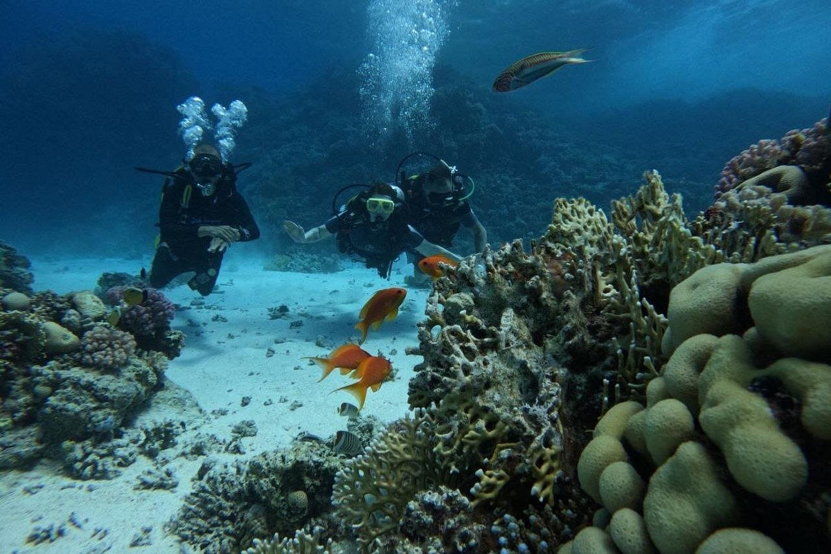 Diving Adventure Hurghada