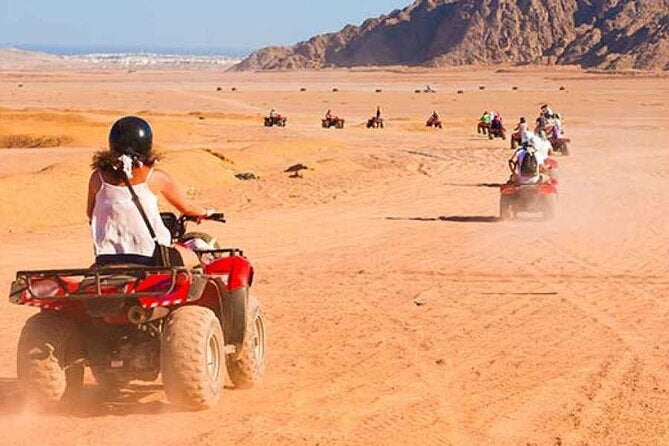 Bedouin Evening Experience