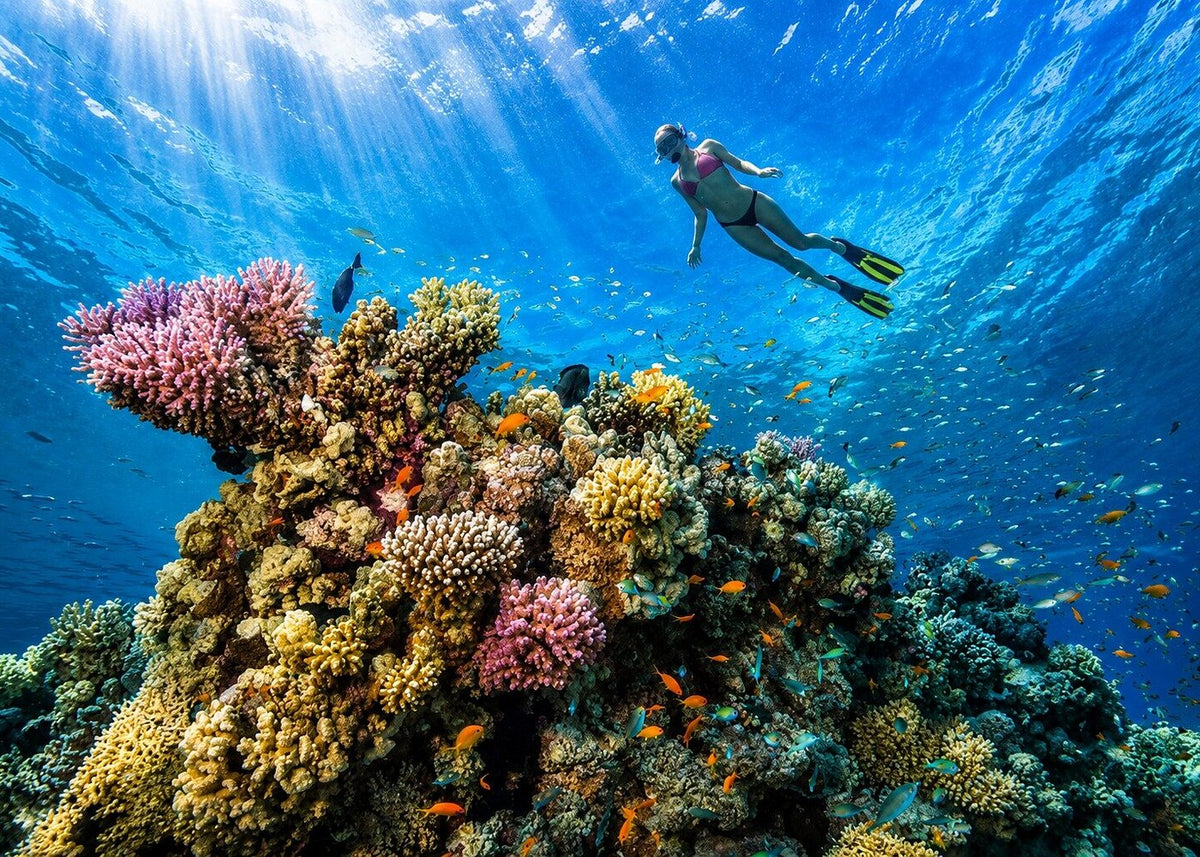 Orange Bay Island Experiences