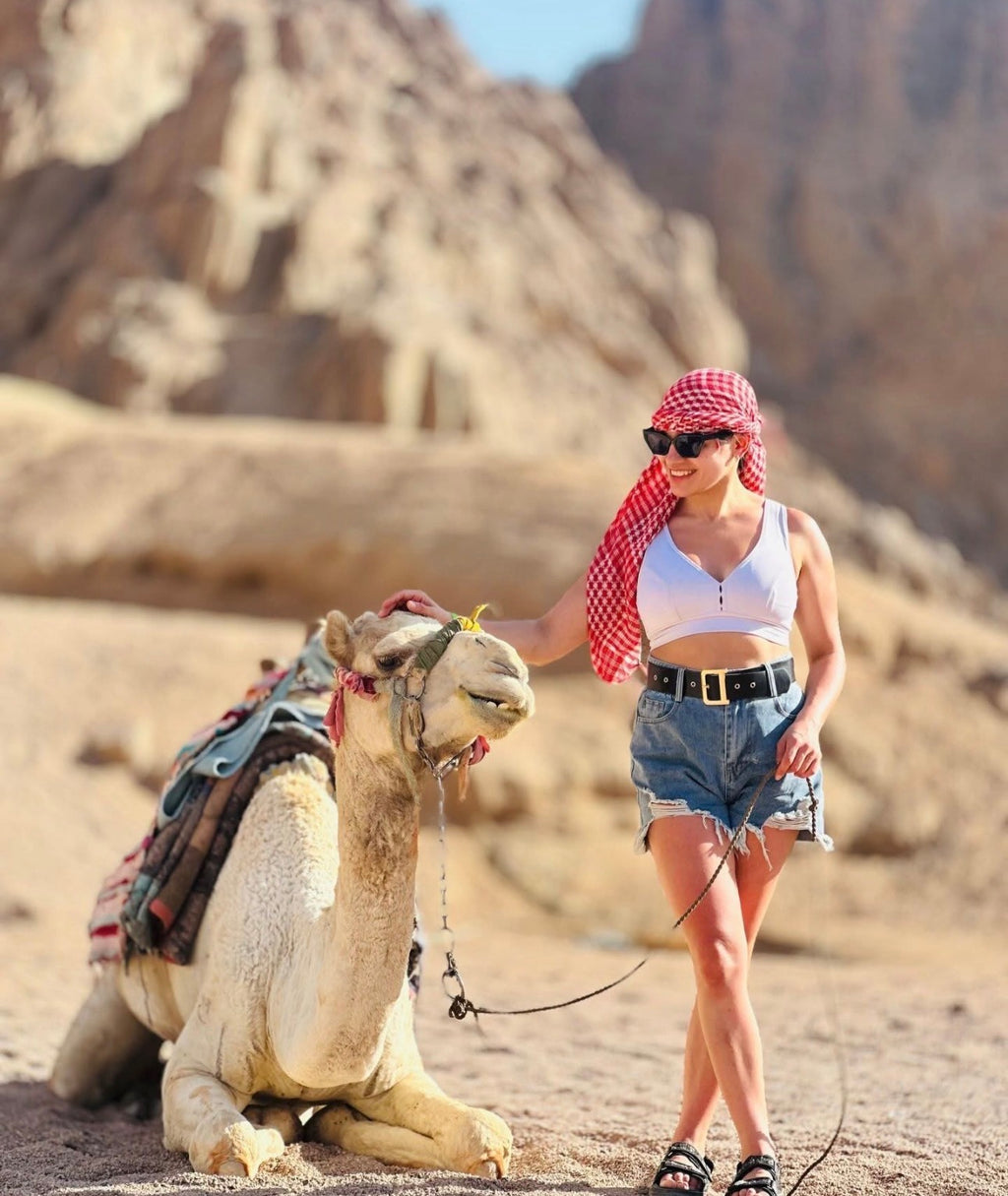 Super Safari Hurghada