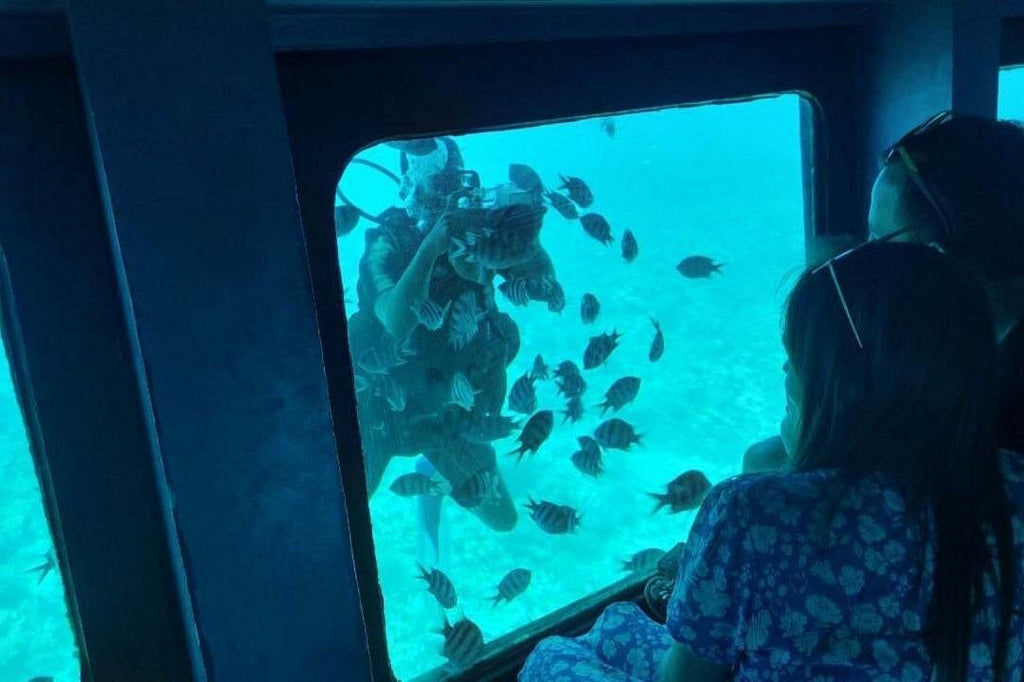 Sea Scope Submarine – Panorama Coral Reef Viewing & Snorkeling