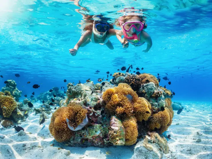 Hurghada Snorkeling Day