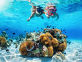 Hurghada Snorkeling Day