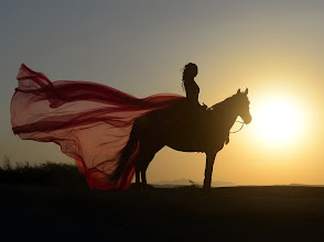 Horse Riding in Hurghada