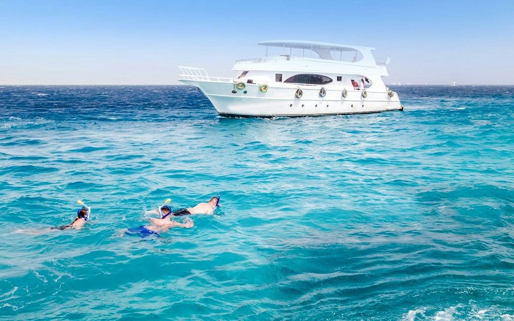 Dolphin House Experience
