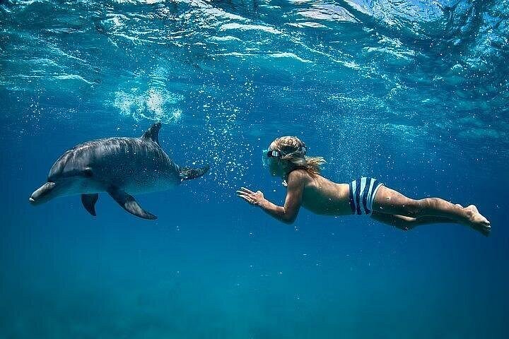 Dolphina Park Experience